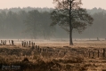 082_Biebrza - kwiecien 2012